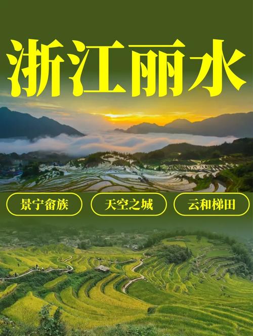 麗水與陜西企業(yè)網(wǎng)站建設與網(wǎng)絡推廣全攻略 從搭建到推廣的一站式解決方案
