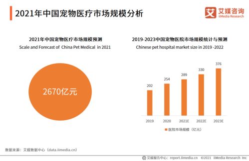 2021年上半年中國寵物經濟產業發展現狀與市場調研分析